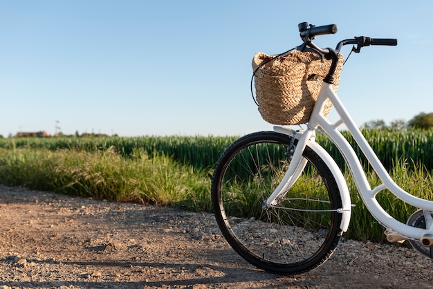 Foto grátis bicicleta elegante na natureza