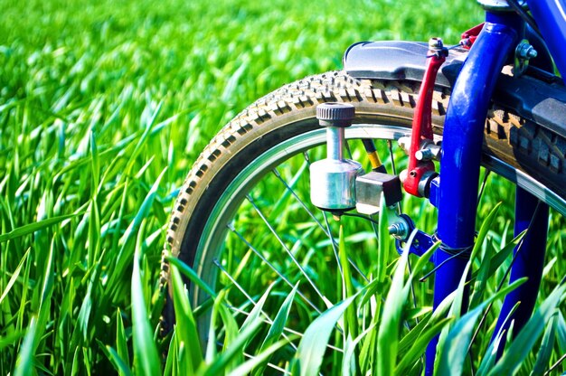 Bicicleta em um campo verde