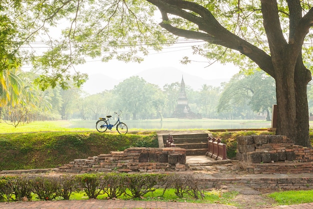 Bicicleta no parque em um dia ensolarado