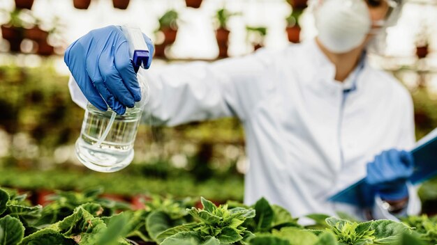Biólogo closeup pulverizando flores em vasos com fertilizantes nutricionais em um viveiro de plantas