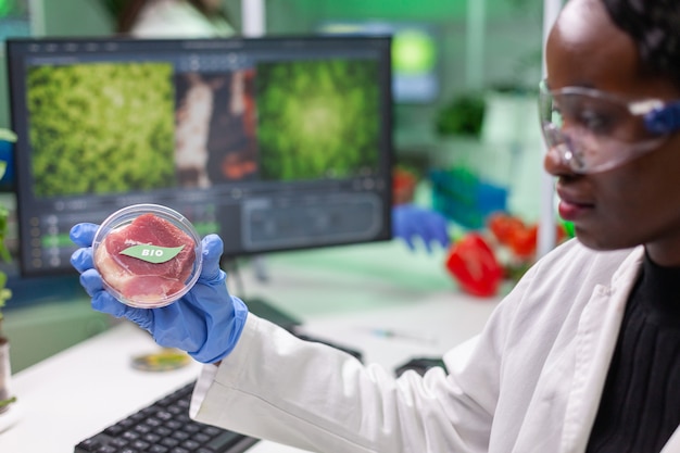 Biólogo pesquisador estudando substituto vegetal à base de carne bovina para vegetarianos