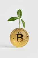 Foto grátis bitcoin dourado com planta atrás dele