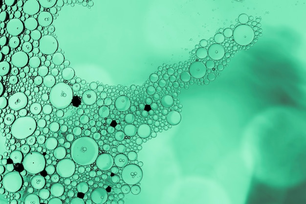 Foto grátis bolhas verdes com fundo desfocado