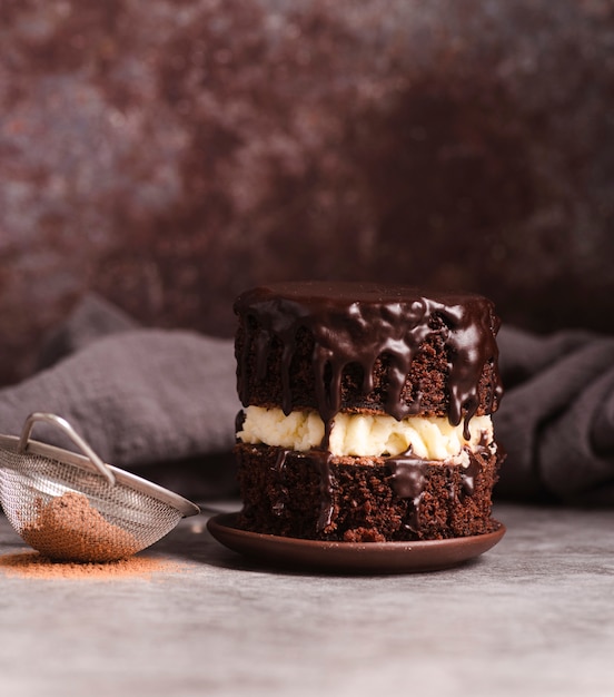 Foto grátis bolo de chocolate com peneira e cacau em pó