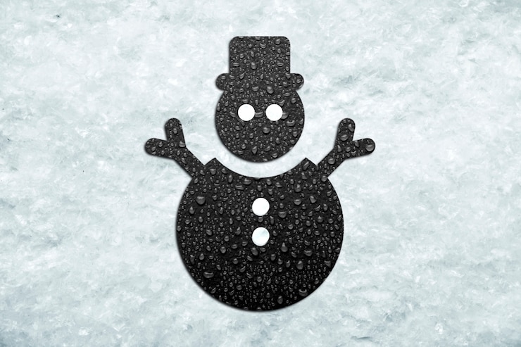 Foto grátis boneco de neve e show de vista superior