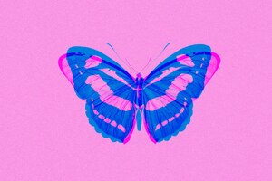 Foto grátis borboleta em mídia remixada de exposição abstrata de cor dupla