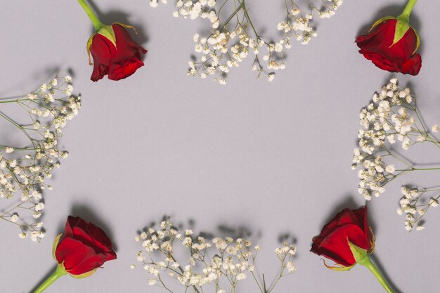 Borda de rosas e flores brancas
