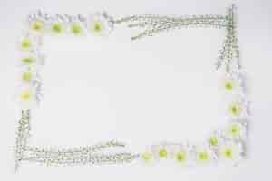 Foto grátis borda elegante de galhos e flores