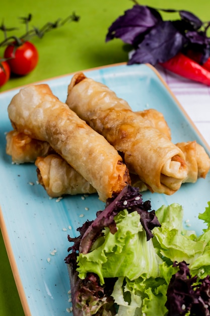 Foto grátis borek turco com vegetação lateral