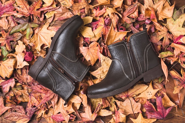Foto grátis botas de couro no fundo de folhas secas