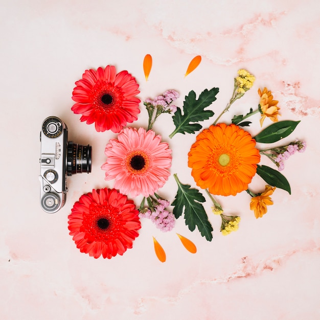 Foto grátis botões de flores brilhantes com câmera na mesa