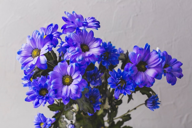 Bouquet de flores azuis