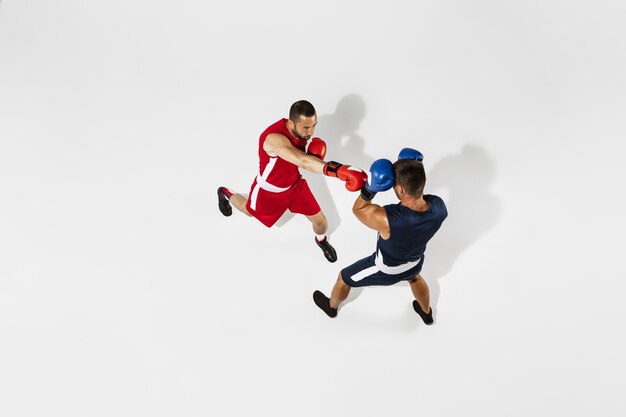 Boxe de dois boxeadores profissionais isolado no fundo branco do estúdio, ação, vista superior. Alguns atletas caucasianos musculosos em forma lutando.