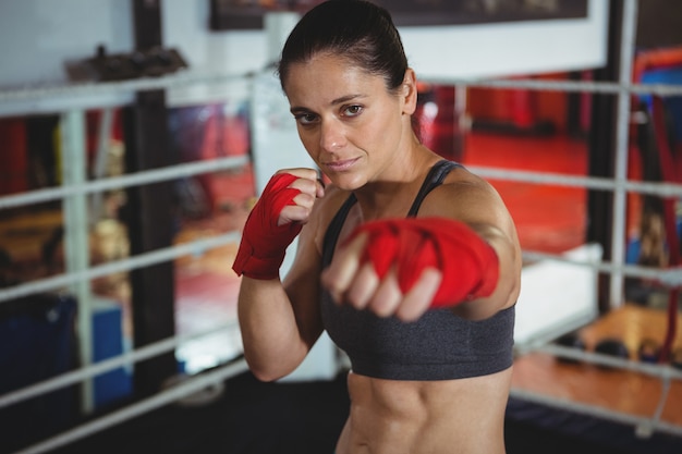 Boxer fêmea confiante, realizando postura de boxe