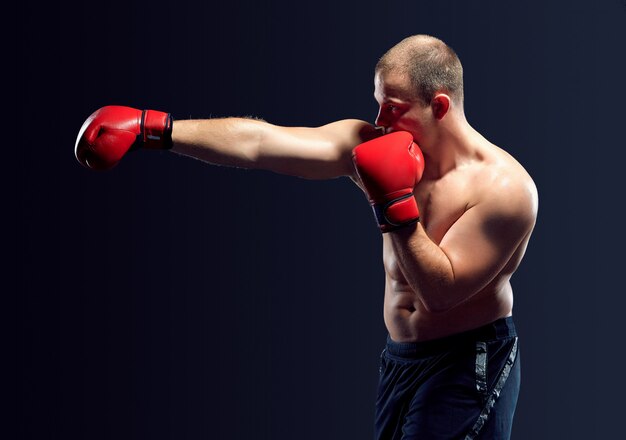 Boxer jovem boxe