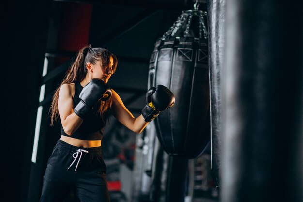 Boxer jovem treinando na Academia