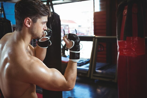 Boxer, realizando uma postura de boxe