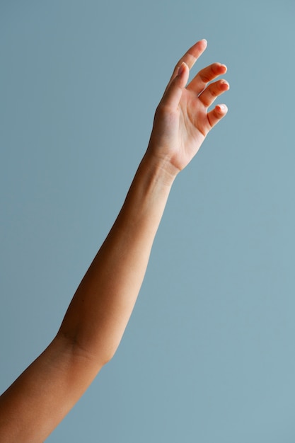 Foto grátis braço de mulher posando com fundo azul