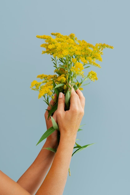 Foto grátis braços de mulher segurando flores amarelas