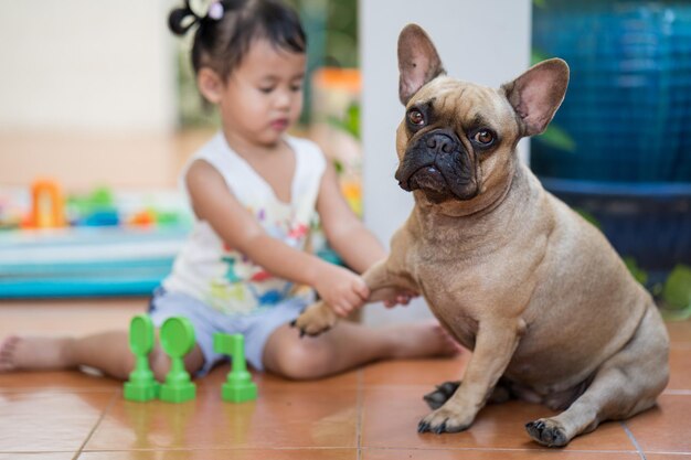 Buldogue francês bonito e uma criança asiática brincando em casa