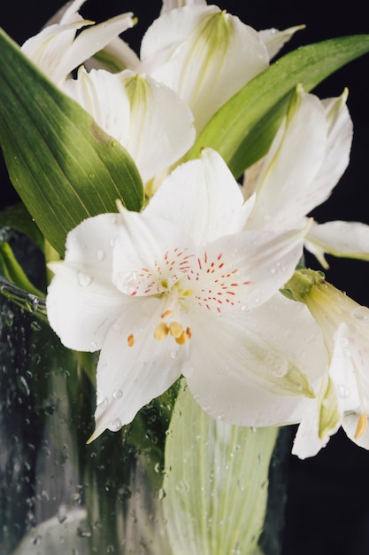 Buquê de belas flores frescas de luz no vaso