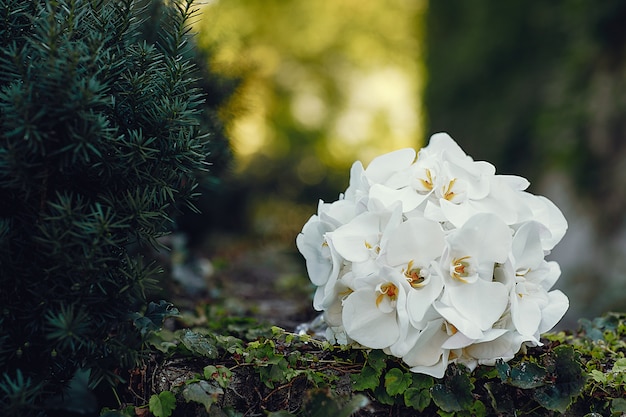 Foto grátis buquê de casamento elegante