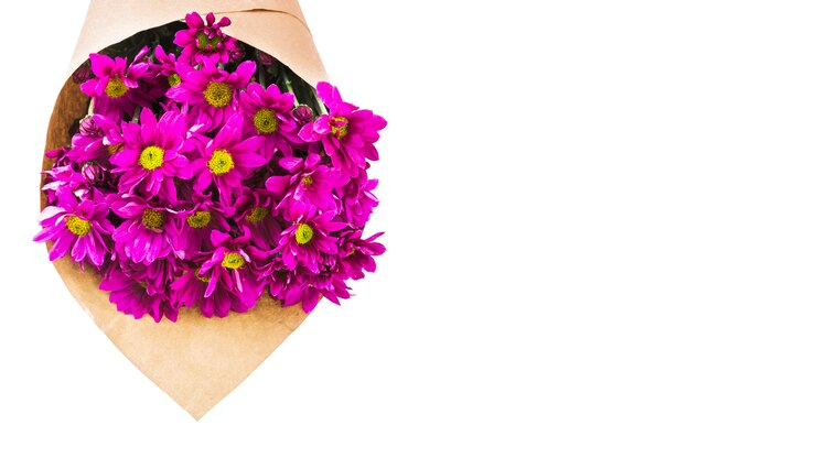 Foto grátis buquê de chamomiles rosa embrulhado em saco de papel marrom sobre fundo branco