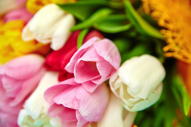 Buquê de flores frescas de tulipas multicoloridas na velha mesa de madeira azul