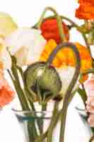 Foto grátis buquê de flores margarida e papoula