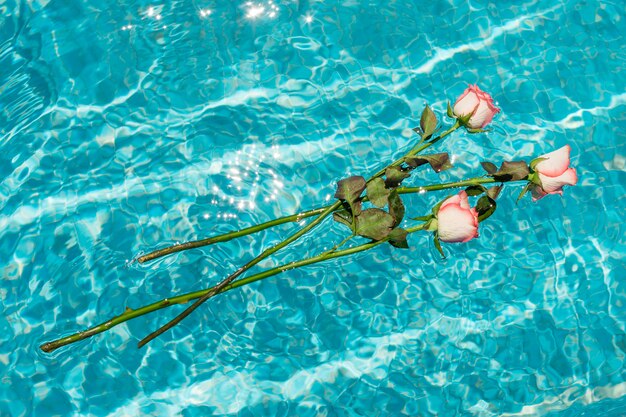 Buquê de rosas flutuando em cima de água