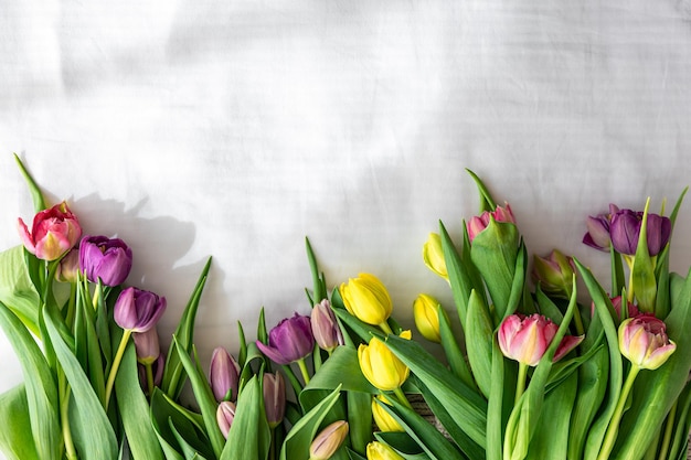 Buquê de tulipas em uma vista superior de fundo branco