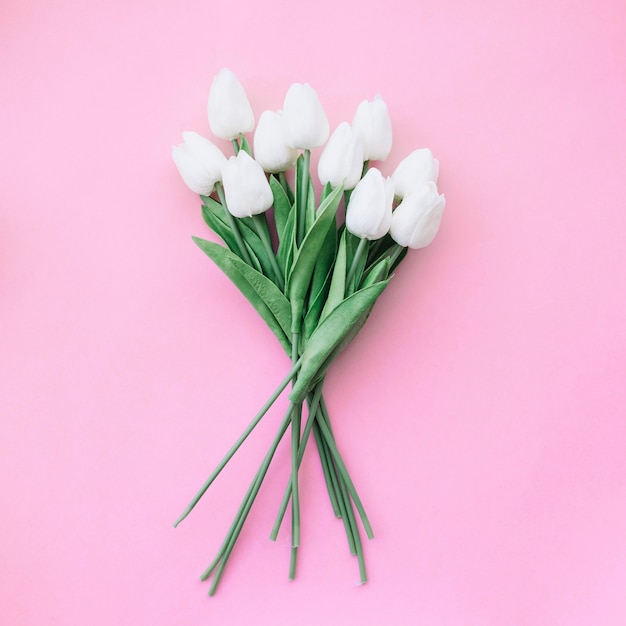 Buquê de tulipas lindas em fundo rosa