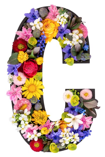 c Letra feita de flores e folhas naturais reais em fundo branco isolado
