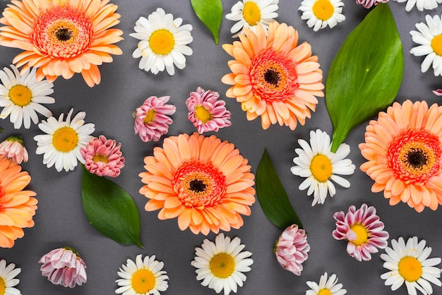 Cabeças de flor sortidas e folhas