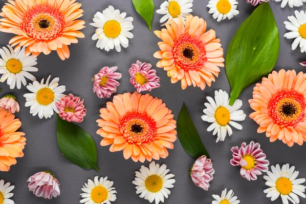 Cabeças de flor sortidas e folhas