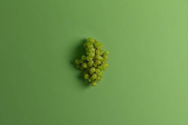 Cacho de uva muscat verde deliciosa para fazer vinho ou suco. Frutos ricos sazonais muito populares colhidos. Foto monocromática. Foco seletivo. Espaço para seu texto. Alimentação saudável, conceito de comida