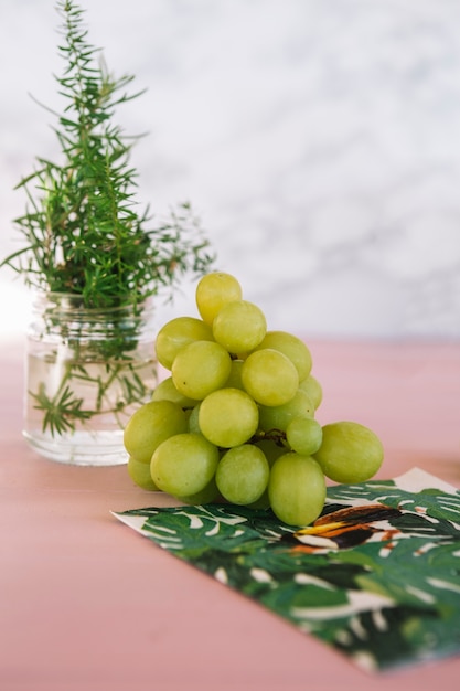 Cacho de uvas verdes e alecrim na mesa-de-rosa