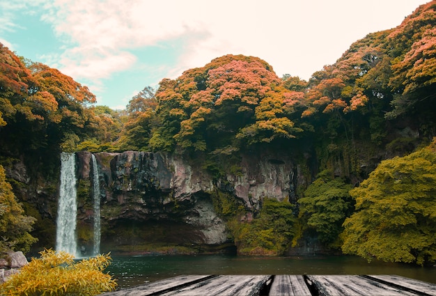 Cachoeira com árvores ao redor