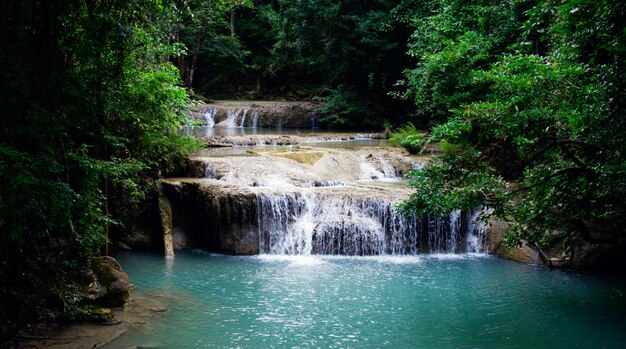 Cachoeira da paisagem em uma floresta