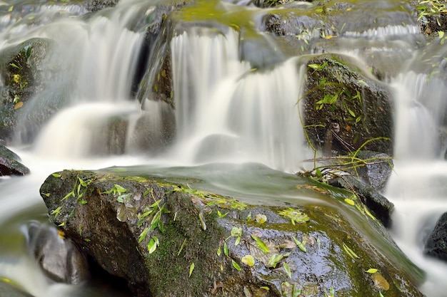 &quot;Cachoeira em longa exposição&quot;