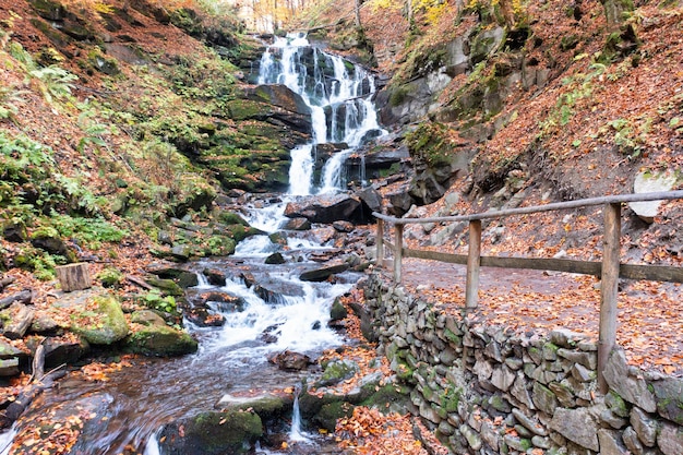 Cachoeira estreita caindo rochas e pedras da encosta íngreme da montanha na floresta com árvores amareladas e folhas caídas de terracota no dia do outono