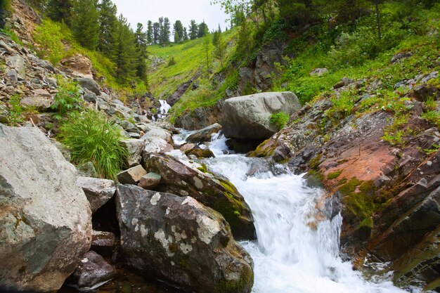 Cachoeira nas montanhas rochosas de Altai