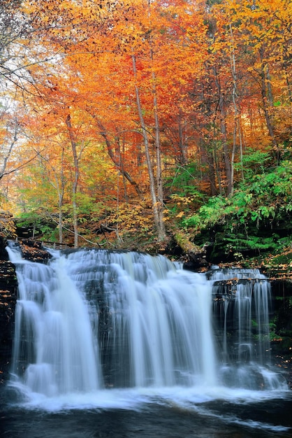 Cachoeiras de outono no parque com folhagem colorida.