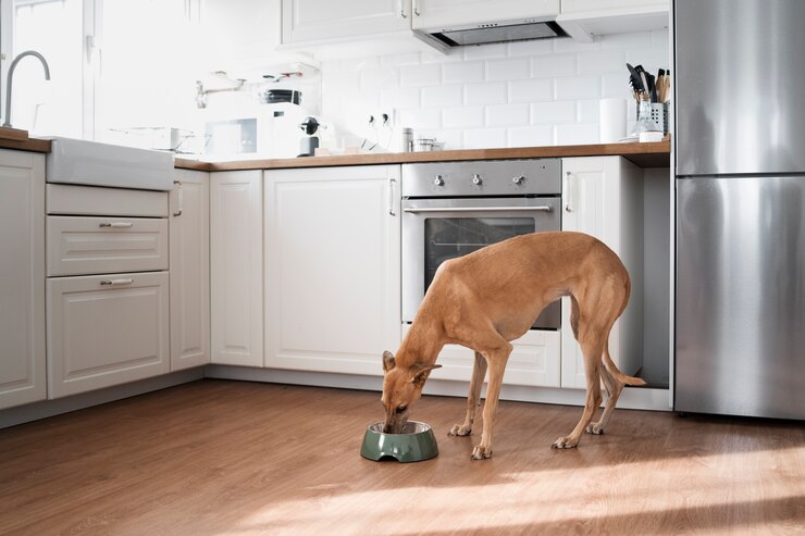 Foto grátis cachorro de tiro completo comendo em casa