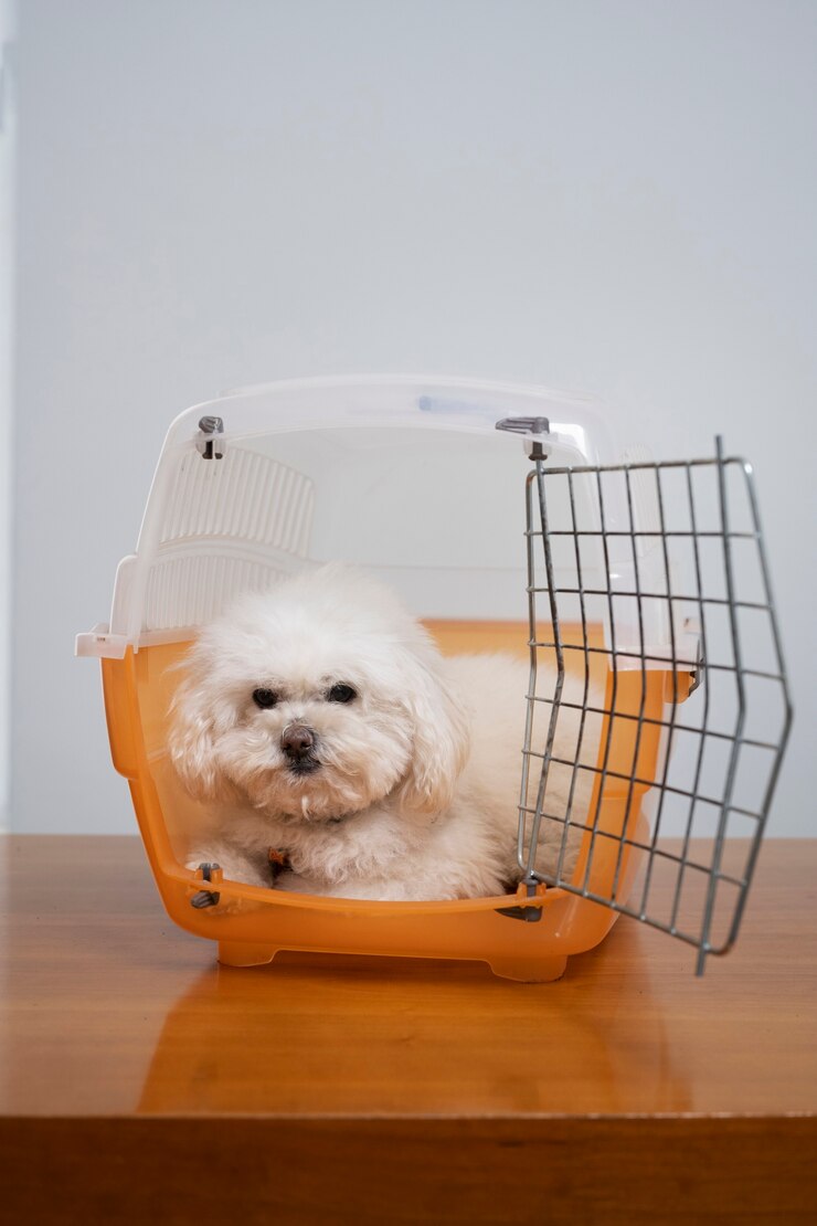 Foto grátis cachorro fofo em transportadora de animais de estimação