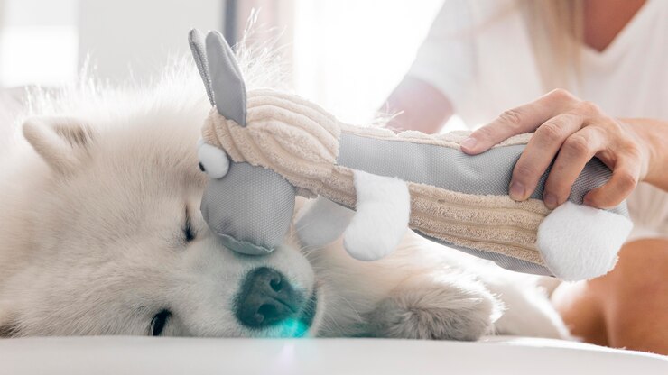 Foto grátis cachorro lindo e mulheres em casa