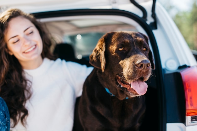 Cachorro preto grande no carro