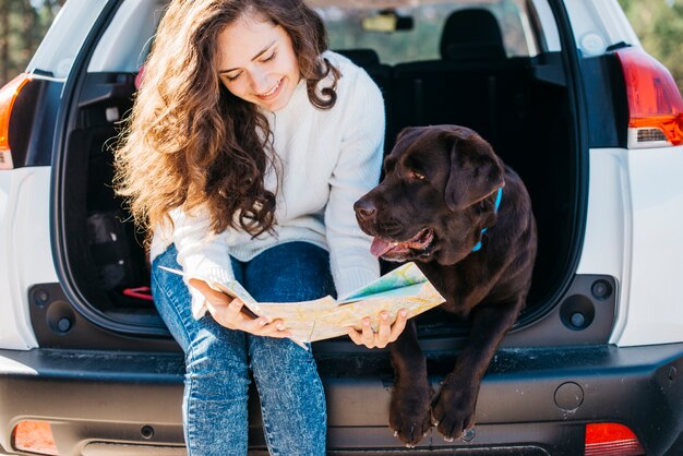 Cachorro preto grande no carro