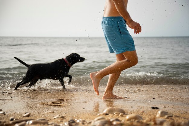 Cachorro se divertindo na praia