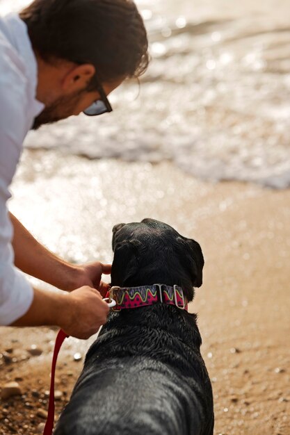 Cachorro se divertindo na praia